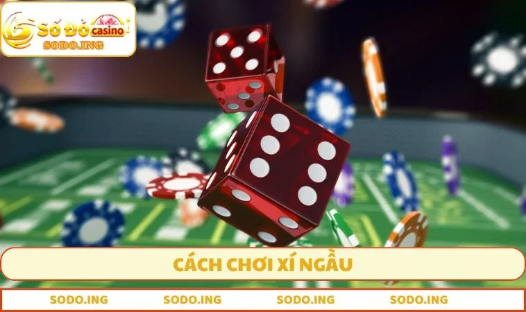 Cách chơi Xí Ngầu